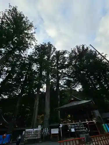 日光二荒山神社(栃木県)