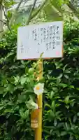 明月院の庭園