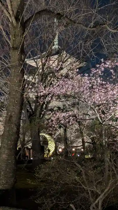 東寺(教王護国寺)(京都府)