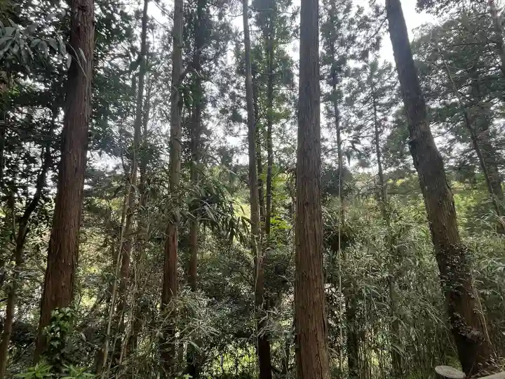猿田神社(千葉県)