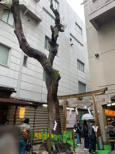 少彦名神社(大阪府)