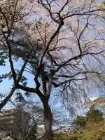 東漸寺(千葉県)