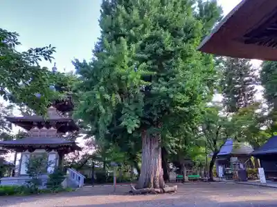 恵隆寺(立木千手観音)のその他建物