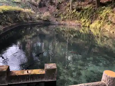 御瀧神社の庭園