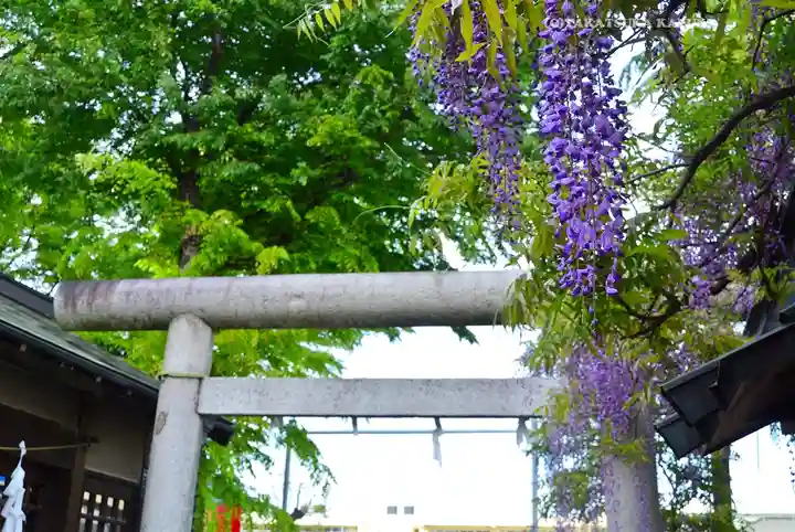 國領神社(東京都)