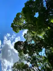 白鳥神社(長野県)