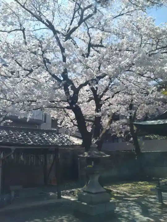 霊光殿天満宮(京都府)