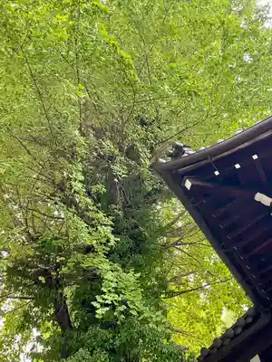 正徳寺(東京都)