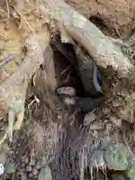 大仏頂寺(千葉県)