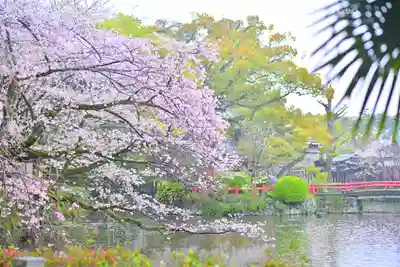 三嶋大社(静岡県)