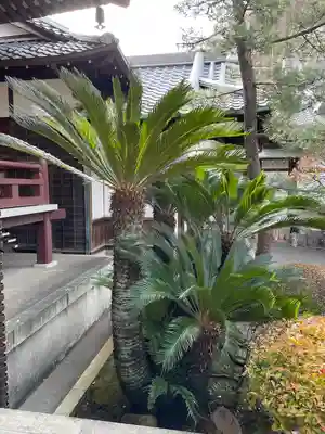 心行寺(東京都)