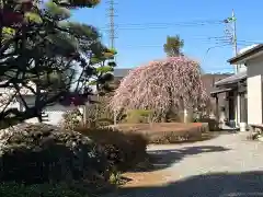 朝日森天満宮(栃木県)