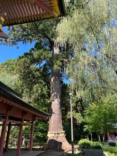 志波彦神社・鹽竈神社(宮城県)