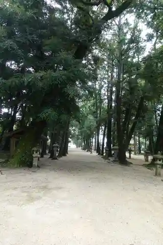 比良天満宮・樹下神社の建物その他