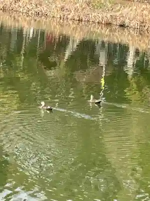 鞆江神社（明地）(愛知県)