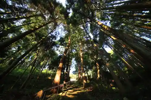 市森神社の自然