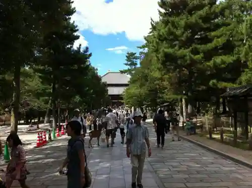 東大寺の本殿