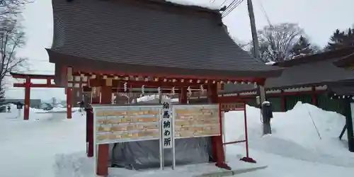 北海道護國神社の絵馬