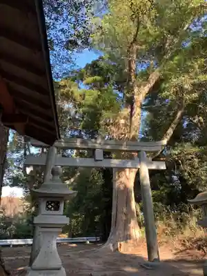 白幡神社(千葉県)