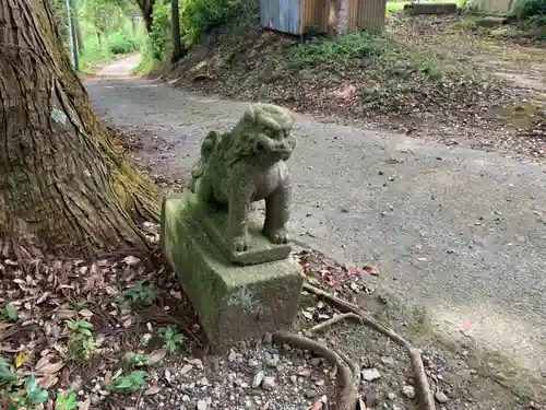 八坂神社の狛犬