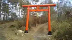 冨士神社の鳥居