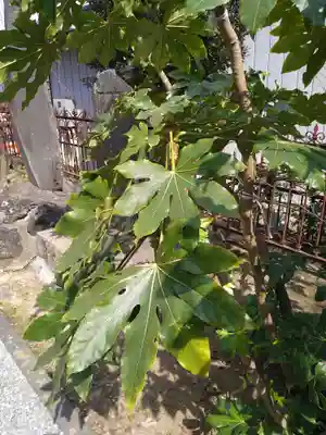 武蔵第六天神社(埼玉県)