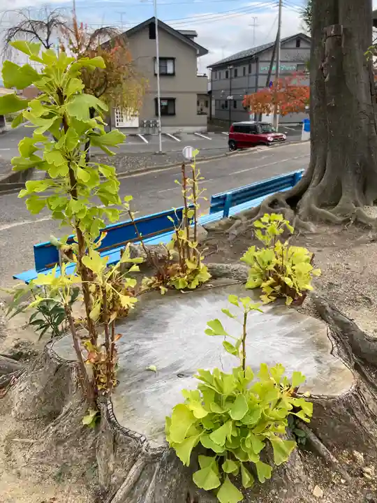 熊野福藏神社(福島県)