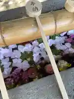 群馬県護国神社(群馬県)