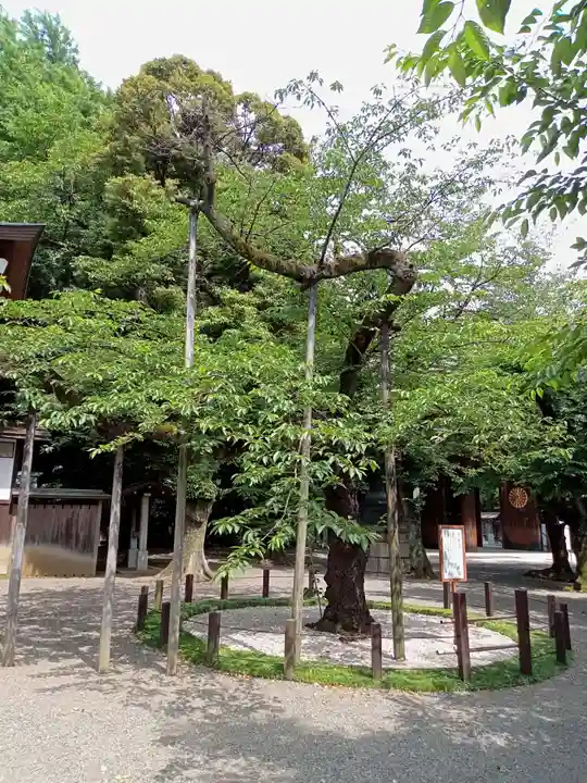 靖國神社の庭園