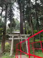 大宮温泉神社の鳥居