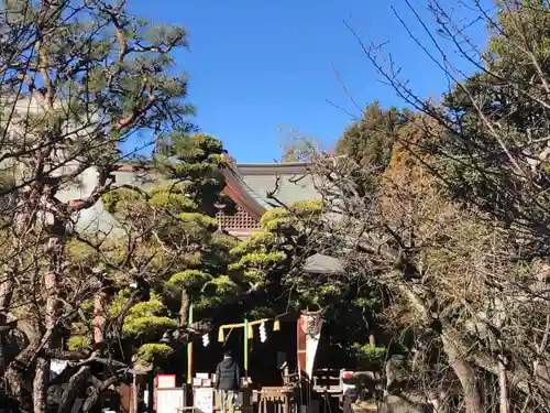 鳩森八幡神社(東京都)