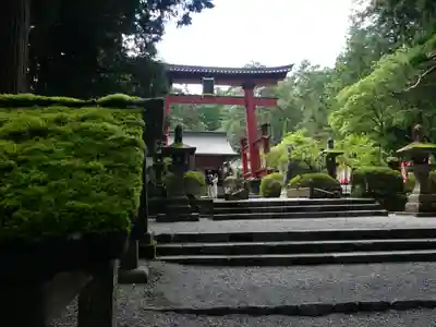 北口本宮冨士浅間神社の鳥居