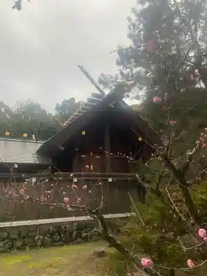 伊曽乃神社の{uncategorized: "未分類", other: "その他", undefined: "問題あり", building: "その他建物", grave: "お墓", sacred_gate: "鳥居", guardian: "狛犬", statue: "像", buddha: "仏像", history: "歴史", nature: "自然", garden: "庭園", animal: "動物", pagoda: "塔", temizu: "手水舎", mountain_gate: "山門・神門", sanctuary: "本殿・本堂", subordinate: "末社・摂社", art: "芸術", scenery: "景色", jizo: "地蔵", ema: "絵馬", goshuin: "御朱印", omikuji: "おみくじ", items: "授与品その他", amulet: "お守り", goshuincho: "御朱印帳", eats: "食事", festival: "お祭り", votive_dance: "神楽", shichigosan: "七五三参", wedding: "結婚式", experience: "体験その他", initially: "初詣", around: "周辺", anti_infection: "感染症対策"}