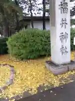 福井神社(福井県)