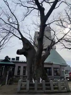 阿邪訶根神社(福島県)