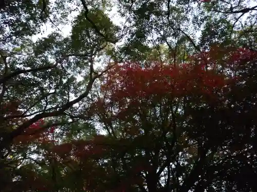 速谷神社(広島県)