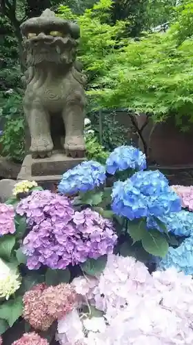 白山神社の狛犬