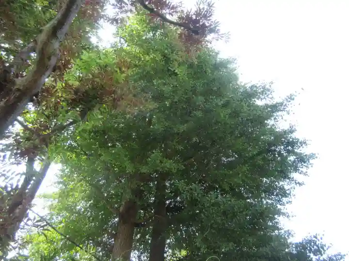 普門院(神奈川県)