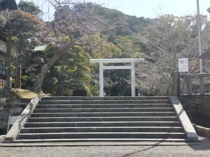 安房神社(千葉県)