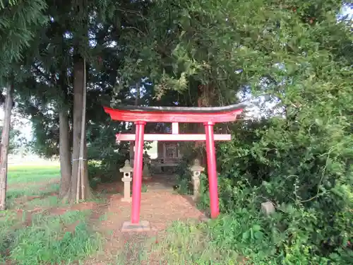 白山神社(新潟県)