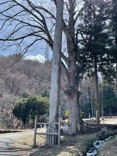 諏訪大社上社前宮の自然