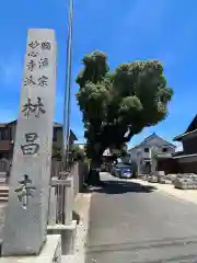 薬師山 林昌寺(愛知県)