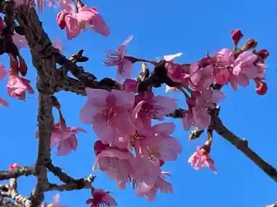 比々多神社(神奈川県)