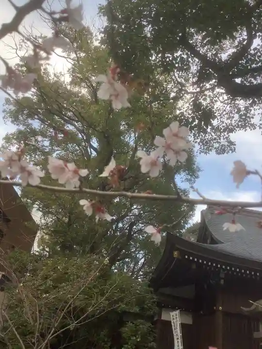 若宮八幡社(愛知県)