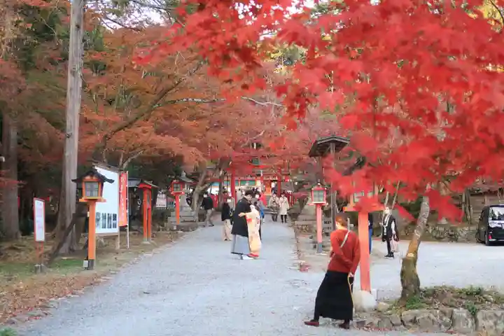 大原野神社の景色