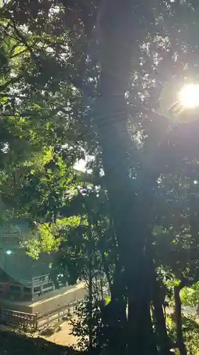 五流尊瀧院(岡山県)