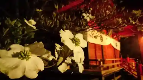 星宮神社 (山川町)のその他建物