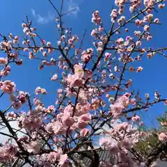 松本山　地福禅寺の自然