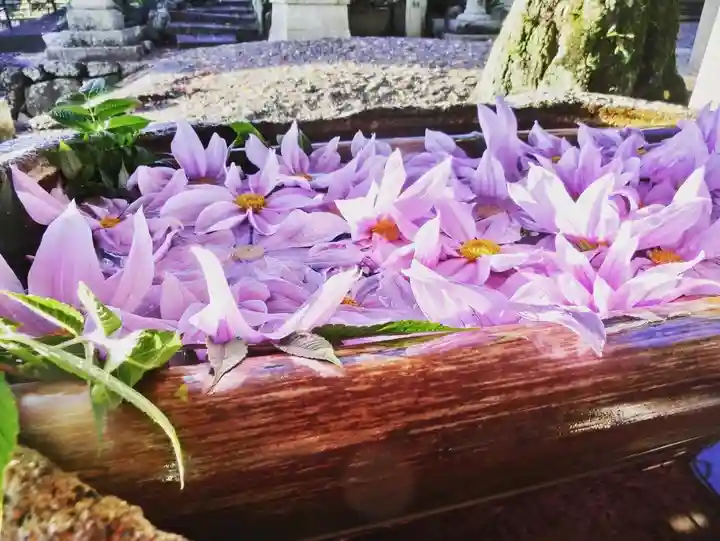 立志神社の手水舎