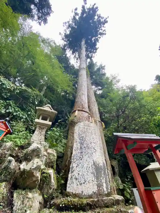 本瀧寺(大阪府)
